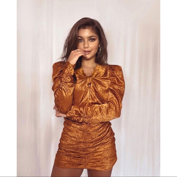 Ronny Kobo Flora Bronze Ruched Mini Dress - Picture 5 of 14